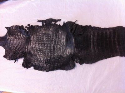 Genuine Crocodile Belly Skin Black matte Caiman Hide 7 x 25 2nd 